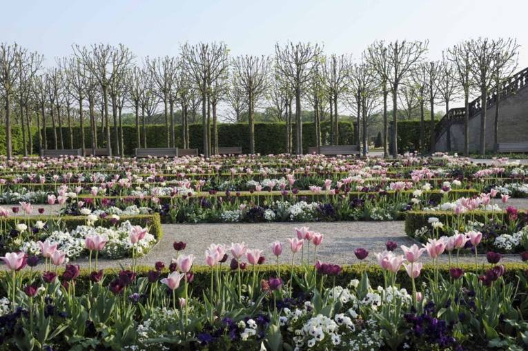 Flower Garden: The Great Garden